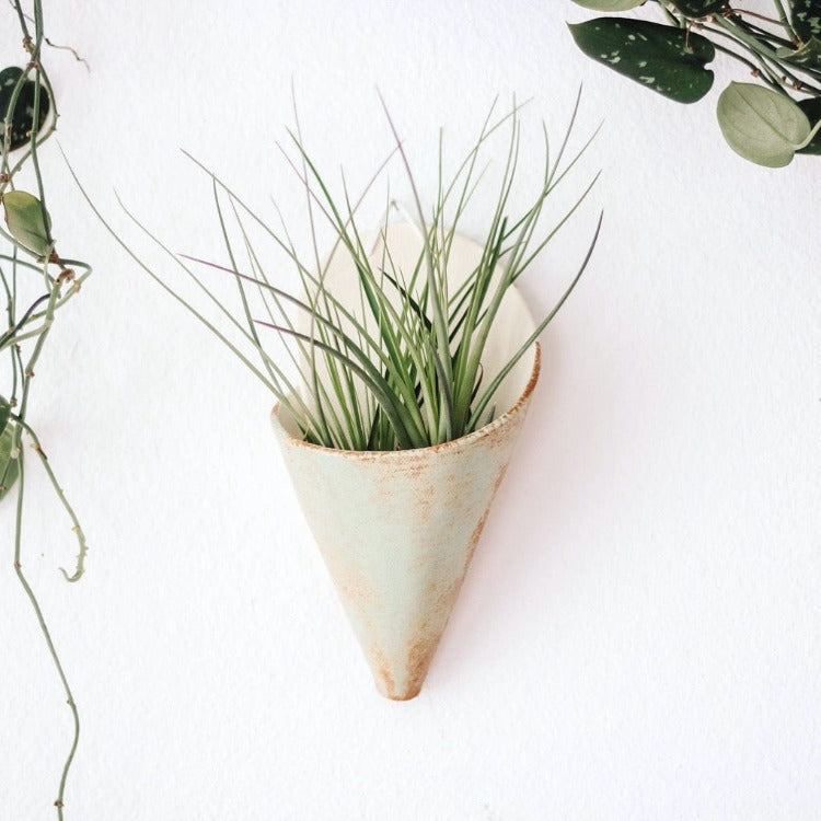 small wall plant pots Pistachio Wall Planter With Plant – West Path