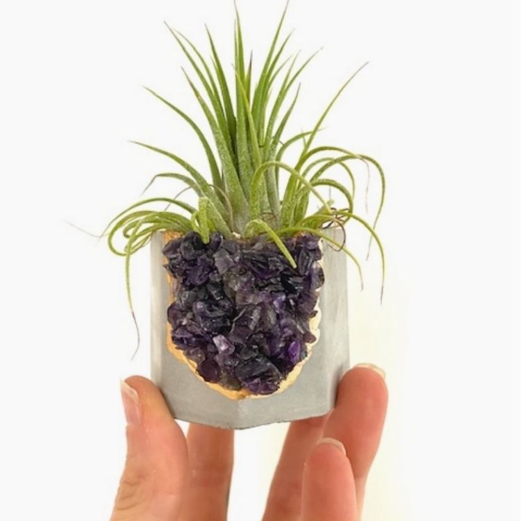 amethyst crystal air plant Amethyst Crystal & Fluorite Crystal Planter