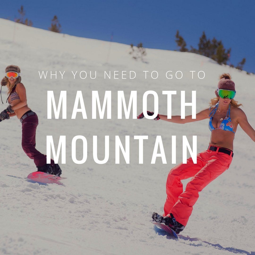 Why You Need to go to Mammoth Now