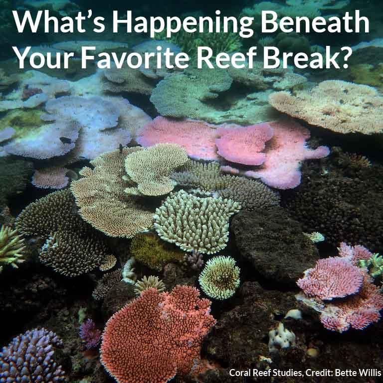 Coral Bleaching Effects on our Ecosystem