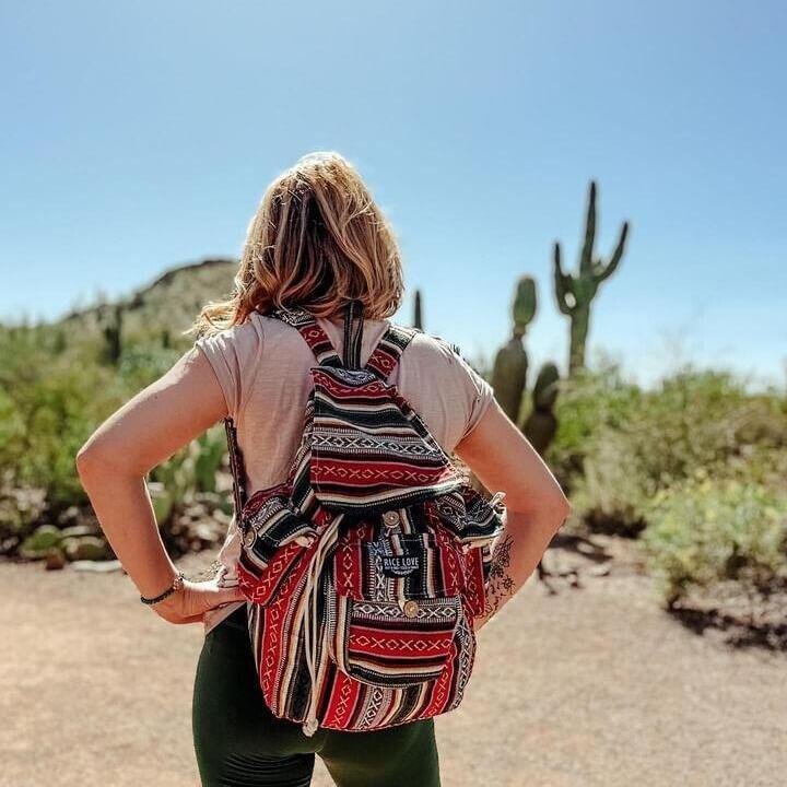 Recycled Travel Backpack Delhi