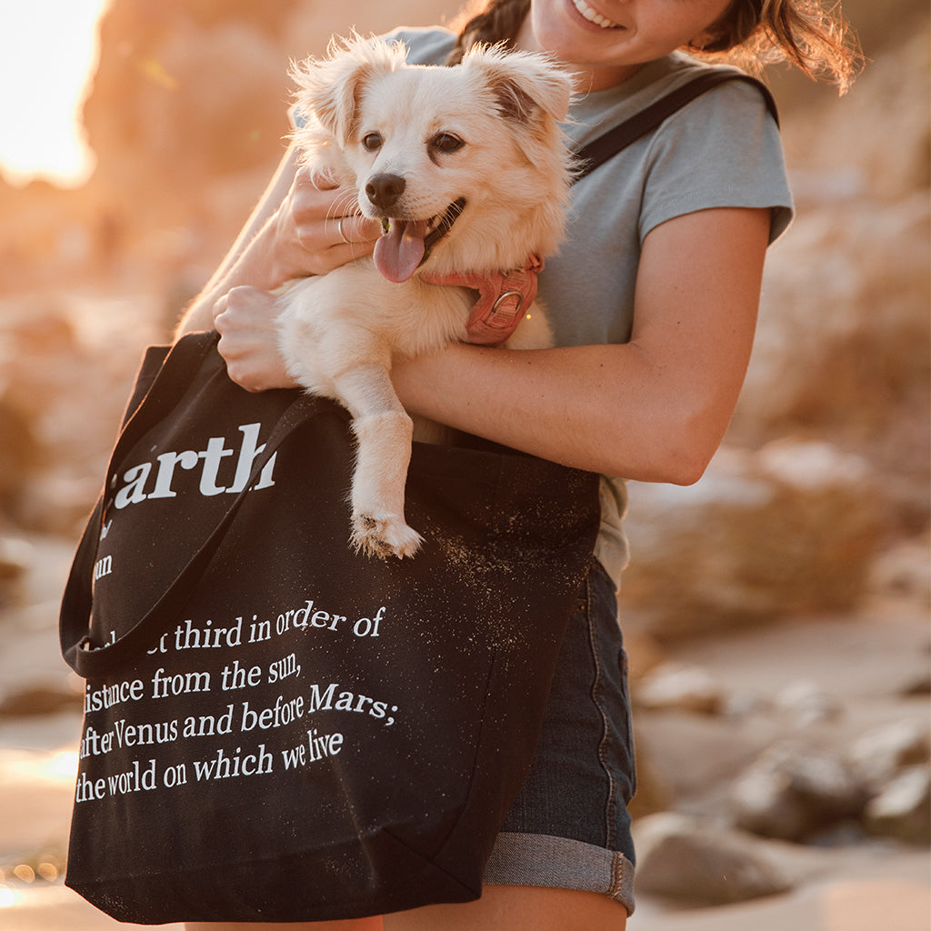 Organic Cotton Canvas Tote Bag - Avani Tote