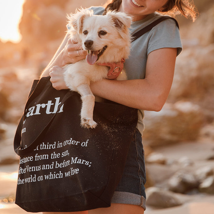 Organic Cotton Canvas Tote Bag - Avani Tote