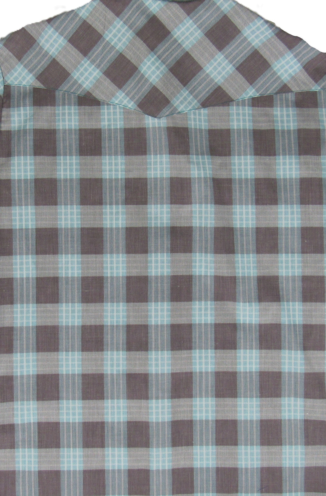 Feather Plaids - Brown & Turquoise - Long Sleeve