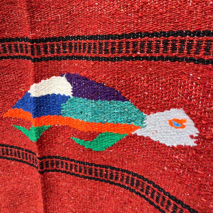 Turtle Lover Blanket - Rust