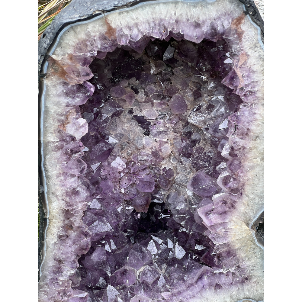 16" x 9.5" Amethyst Cathedral Geode