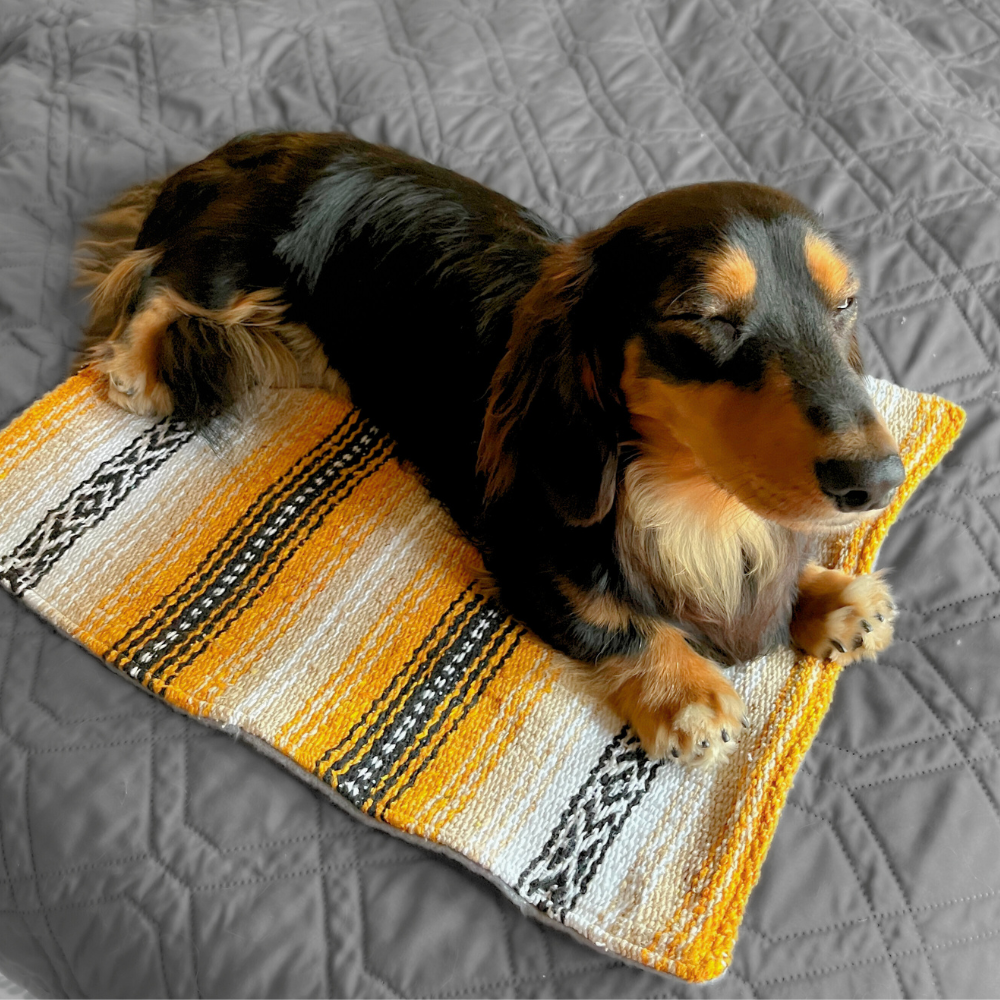 Cat Bed Mat for Small Animals -  Tan/Yellow