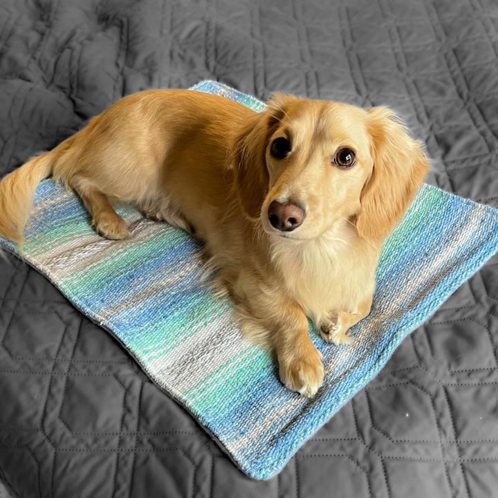 Cat Bed Mat for Small Animals -  Blue/White