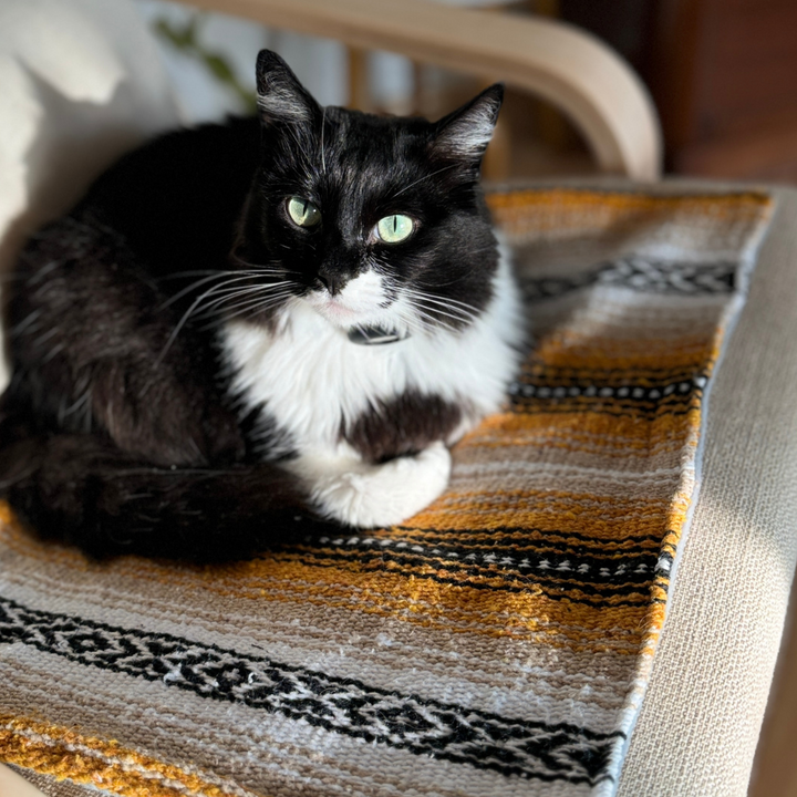 Cat Bed Mat for Small Animals -  Tan/Yellow