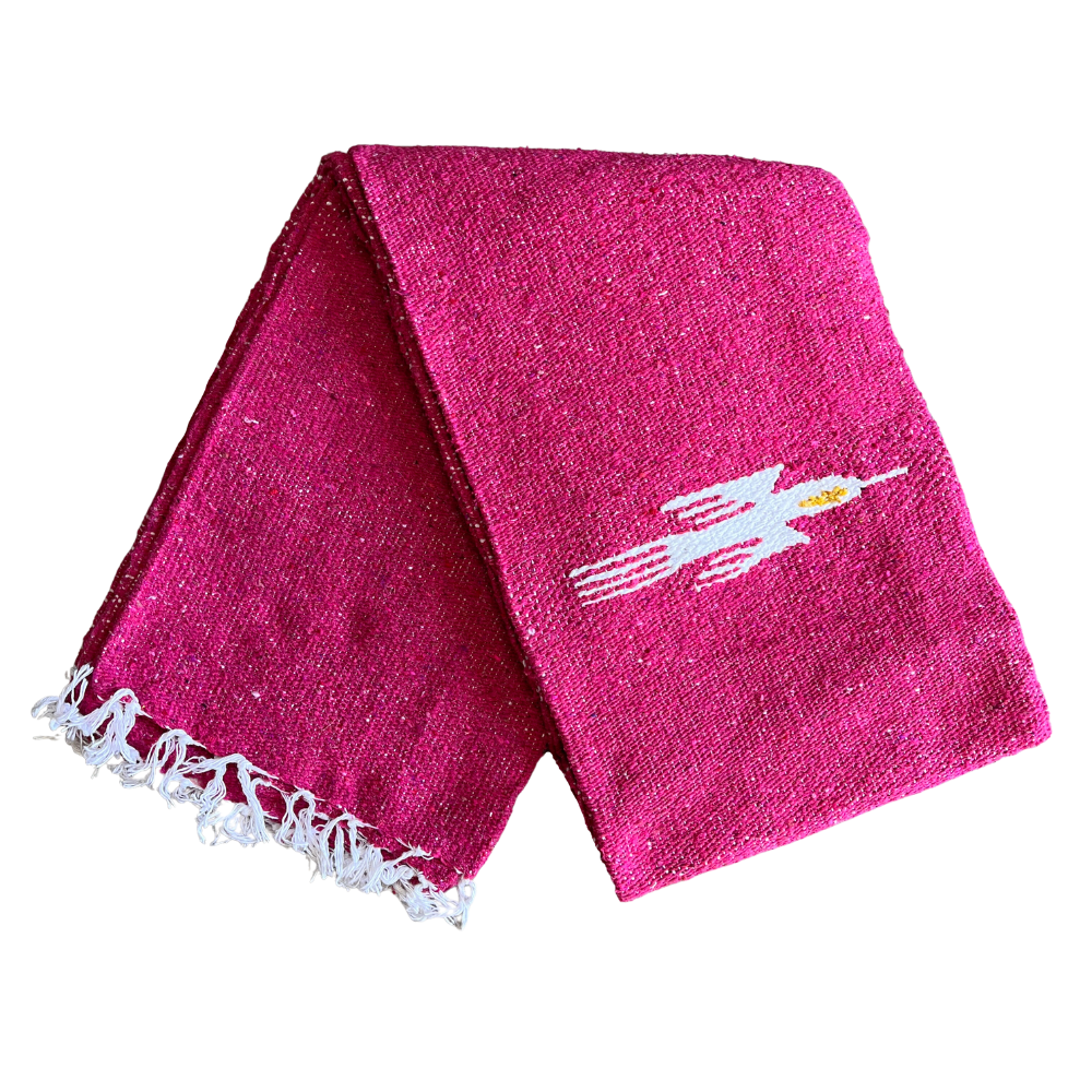 Hot Pink Baja Thunderbird Blanket