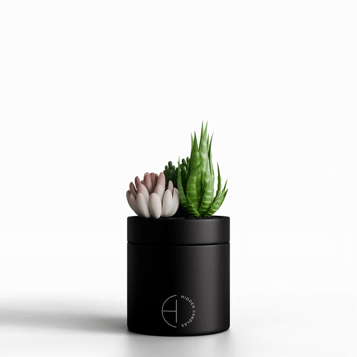 The Hidden Candle