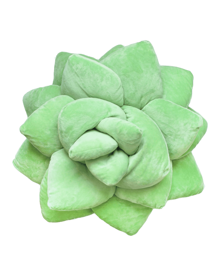 Big Pop Succulent® - Sage Green