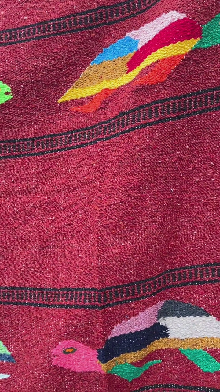 Turtle Lover Blanket - Rust