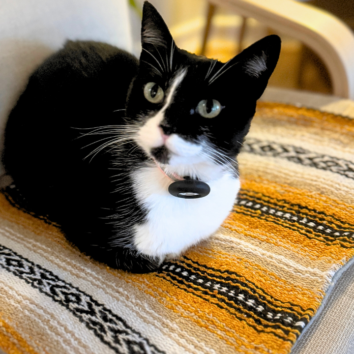 Cat Bed Mat for Small Animals -  Tan/Yellow