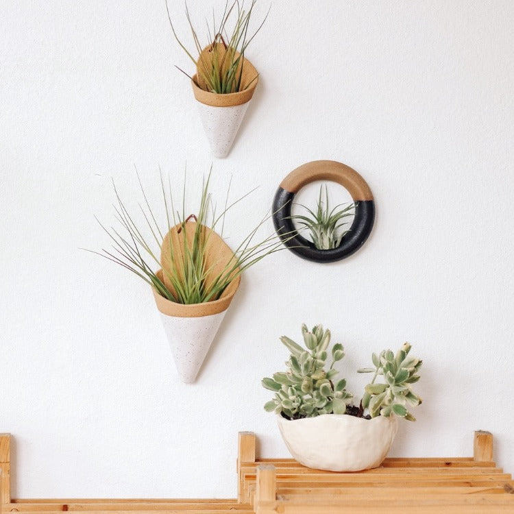 Speckled colored wall planters by Carter and Rose