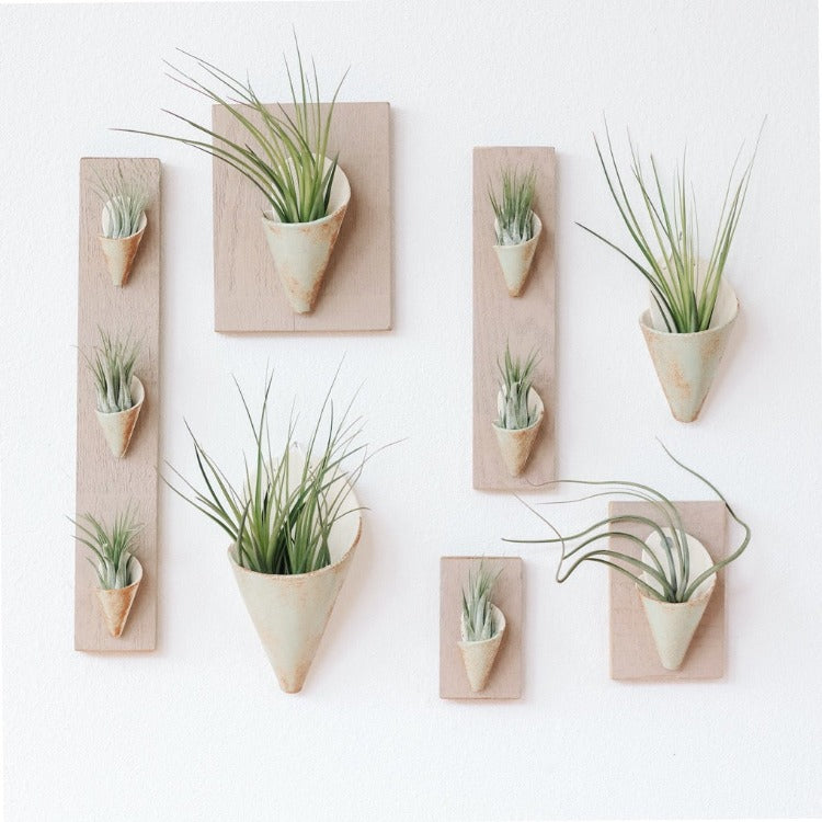wall planters for air plants Pistachio Wall Planter With Plant – West Path